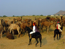 India-Rajasthan-Mewar Riding Safari in Rajasthan